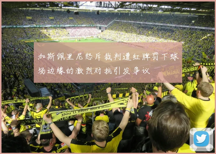 加斯佩里尼怒斥裁判遭红牌罚下球场边缘的激烈对抗引发争议