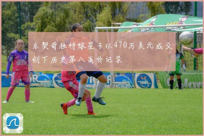 东契奇独特球星卡以470万美元成交创下历史第八高价记录