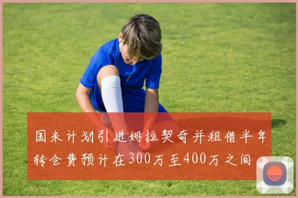 国米计划引进姆拉契奇并租借半年转会费预计在300万至400万之间