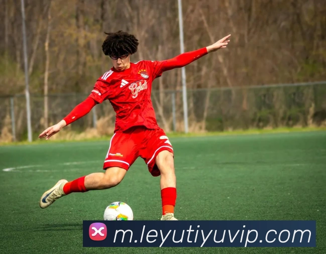 乐鱼体育服务体系